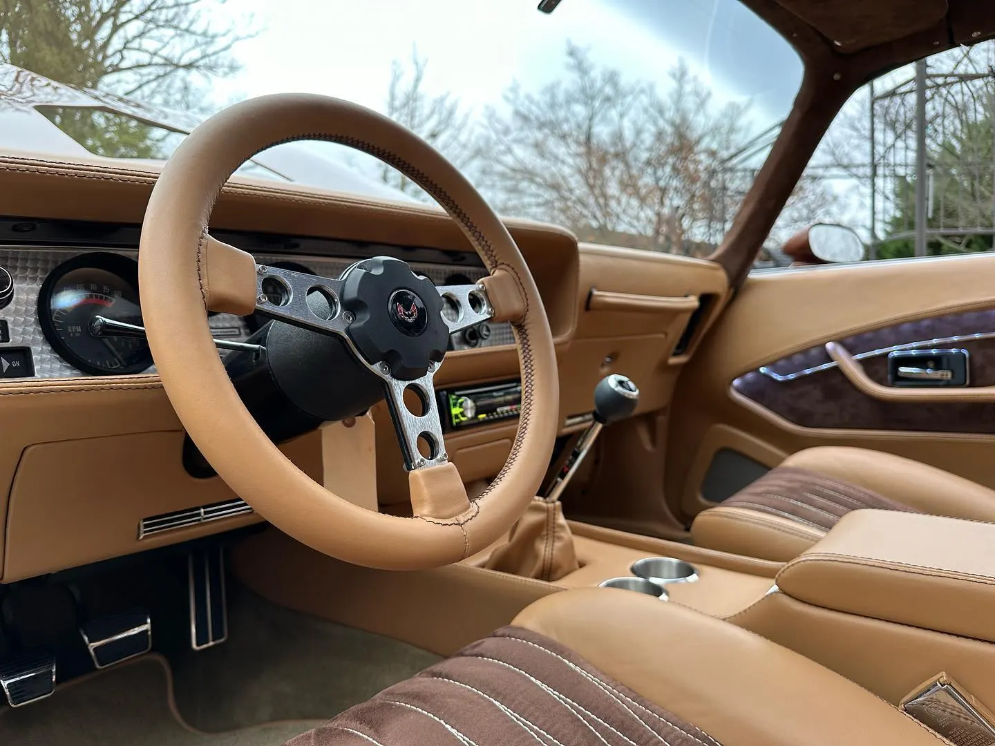1977 Pontiac Firebird Trans Am, photo 2
