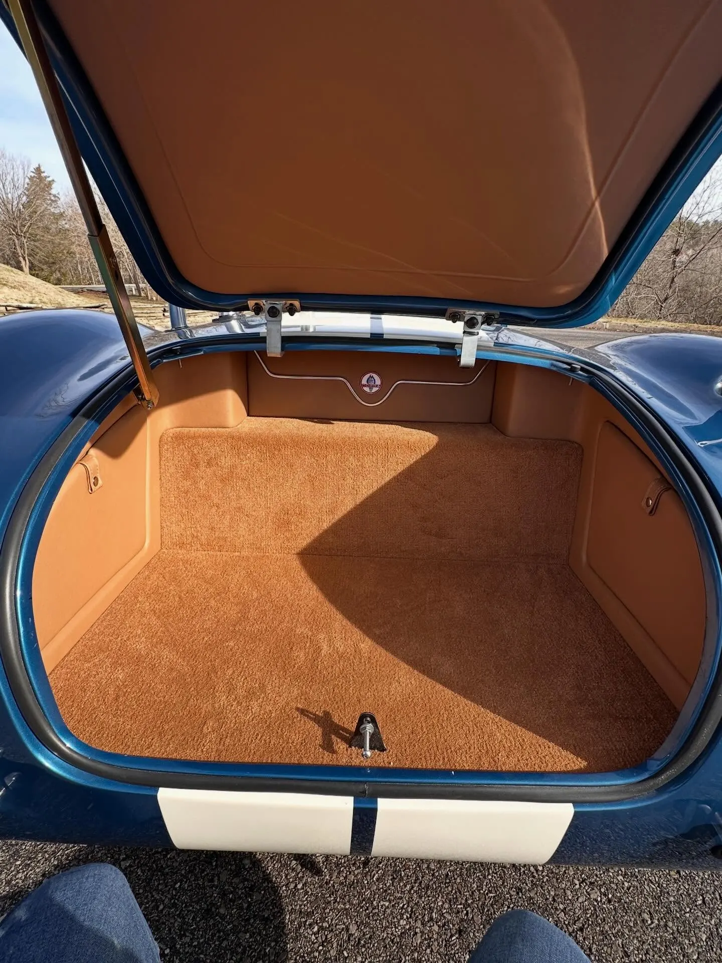 1965 Shelby Cobra, photo 5
