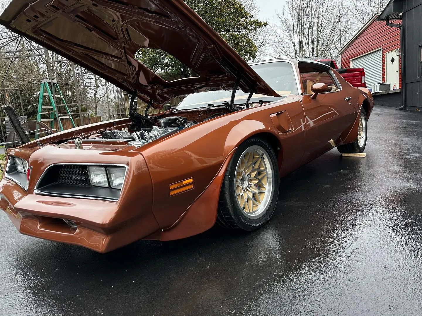 1977 Pontiac Firebird Trans Am, photo 8