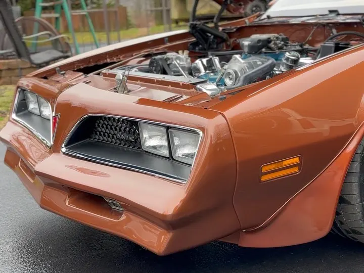 1977 Pontiac Firebird Trans Am, photo 9